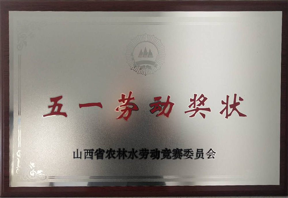 五一劳动奖状