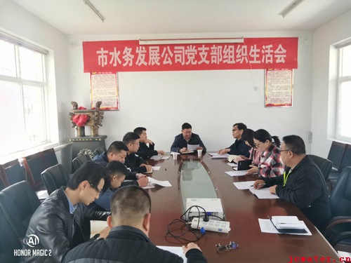 市水务公司党支部召开2018年度组织生活会和民主评议党员会